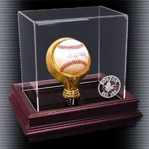 Boston Red Sox Boardroom Ball Case 
