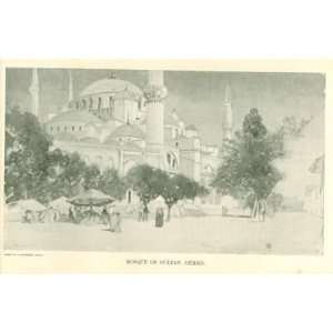   1896 Constantinople Pigeon Mosque Hippodrome Scutari 