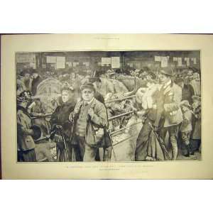    Smithfield Club Show Islingtonthe Highlanders 1901