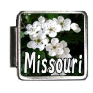 Missouri State Flower Hawthorn Photo Italian Charm Bracelet Link