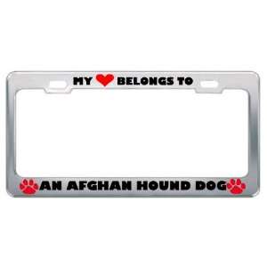  My Heart Belongs To An Afghan Hound Dog Animals Pets Metal 