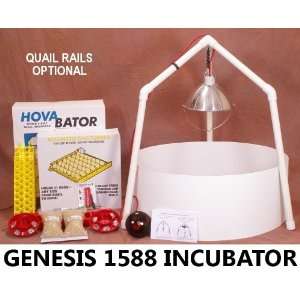  HovaBator Genesis 1588 Ultimate Egg Incubator & Brooder 