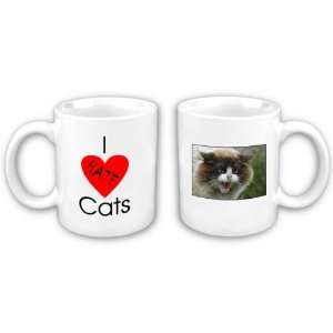  I Hate Cats Coffee Mug 