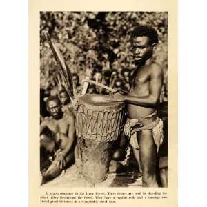 1931 Print Pygmy Drummer Itura Forest Mahale Mountain National Park 
