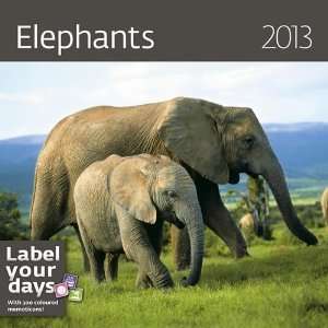  Elephants 2013 Wall Calendar