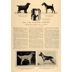  1928 Article Champion Dogs Kennels George W. R. Andrade 