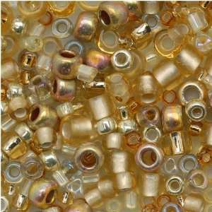  Toho Multi Shape Glass Beads Kintaro Gold Color Mix 8 