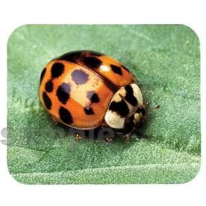  Ladybug Mouse Pad 