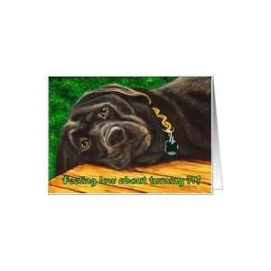  Funny Birthday ~ 71 Years Old ~ Labrador Dog Card Toys 
