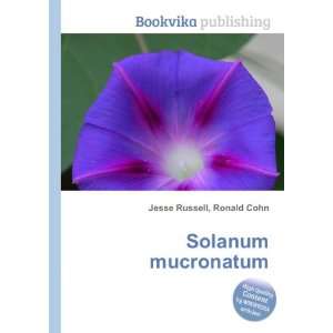  Solanum mucronatum Ronald Cohn Jesse Russell Books