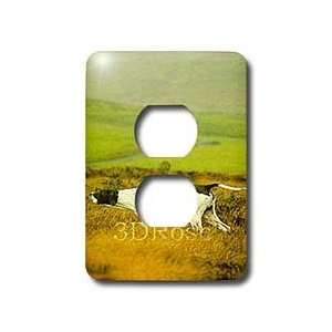  Dogs The Pointer   The Pointer Dog   Light Switch Covers 