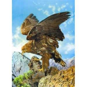  3D Lenticular Picture / Poster 10.5 X 13.5   EAGLE