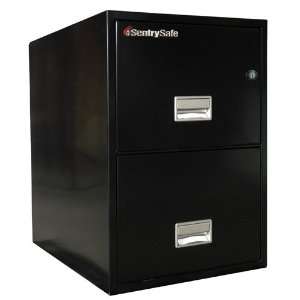   BK 31 in. 2 Drawer Insulated Vertical File   Black
