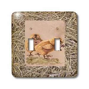  Florene Vintage   Baby Chicks On Hay   Light Switch Covers 