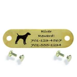  Sport Dog Rivet On Dog Collar Name Plates   16 Styles, 2 