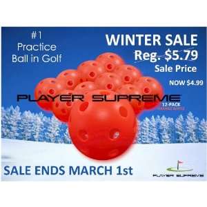   Balls w/ Holes (Wiffle Style / Orange / 12 Pack) *WINTER SALE SPECIAL
