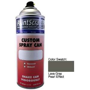 12.5 Oz. Spray Can of Lava Gray Pearl Effect Touch Up Paint for 2008 