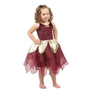  Deep Wood Fairy Deluxe Dress up Costume SMALL(1 3) Toys & Games