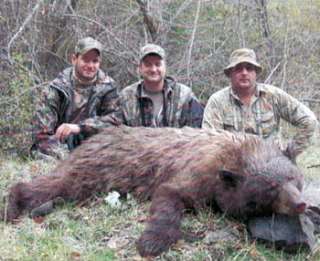 Bear hunting photos click here