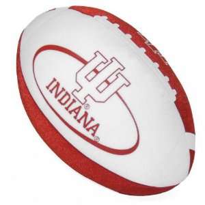  Indiana Hoosiers Color Football Pillow