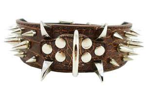 Brown Leather Dog Collar Spikes 17 20.5 Boxer Pitbull  