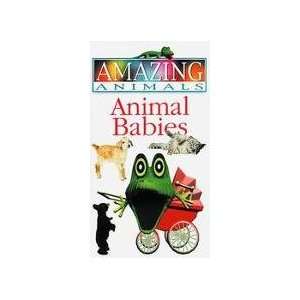  Henrys Amazing Animals   Animal Babies   VHS Toys 