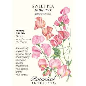  In the Pink Sweet Pea Seeds   3 grams   Annual Patio 