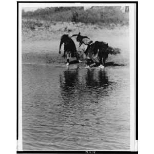  Water rite purification,Cheyenne animal dance