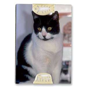  3.5x5 Glass and Metal Cat Theme Picture Frame
