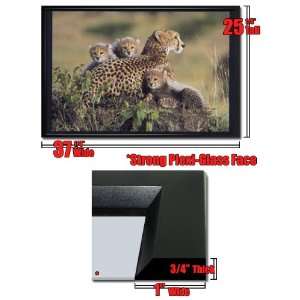  Framed Cheetah And Cubs Nature Wall Poster Fr Aa943