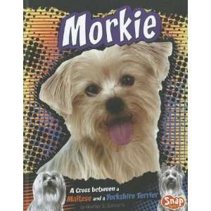  Morkie A Cross between a Maltese and a Yorkshire Terrier 
