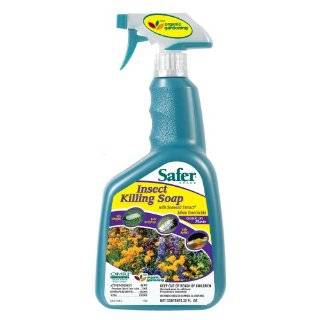  Garden Safe 10422X Houseplant and Garden Insect Killer, 24 