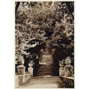  1925 Stair Steps Villa DEste Tivoli Italy Photogravure 