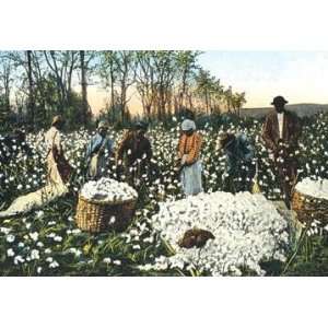  Exclusive By Buyenlarge Cotton Field Workers 20x30 poster 