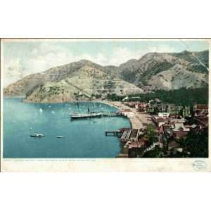 Reprint Santa Catalina Island CA   Avalon and Bay, From the North 1900 