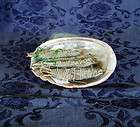 pack of four sage smudges with abalone shell  mixed varieties