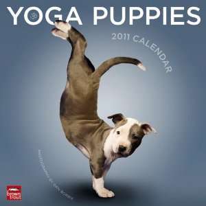  Yoga Puppies Wall Calendar 2011