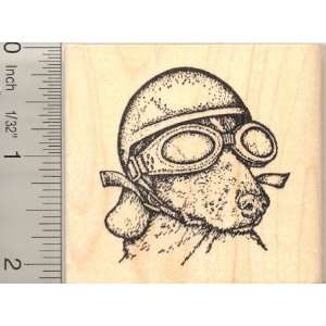  Biking Dachshund (Oggie Doggie) Rubber Stamp Arts, Crafts 