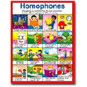  CARSON DELLOSA CHARTLET HOMOPHONES17 X 22 Toys & Games