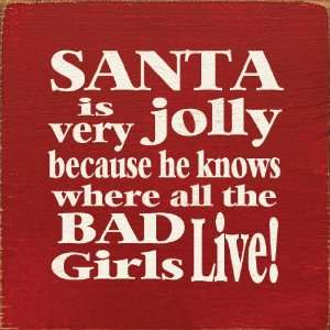  Santa Is Very Jolly Because He Knows Where All The Bad Girls 