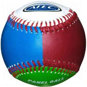  ATEC Panel 4 Colored Training Baseballs Dozen Sports 