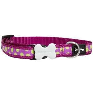 Red Dingo Designer Collar   Green Spots On Purple   Large (Quantity of 