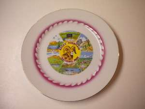 Rocky Mountain National Park, CO Souvenir Plate, BIN  