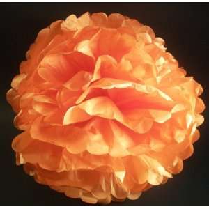 Orange 12 Tissue Pom Poms Paper Flower Balls   Wedding Bridal Baby 