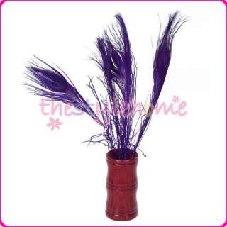   Peacock Tail Feathers w/ Eyes Purple Crafts Decoration Room Parlor NEW