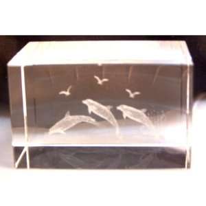  Dolphins Playing and Seagulls Laser Art Crystal 