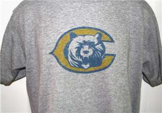 Chicago BEARS 90s Throwback Logo NFL T Shirt X Large  