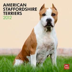  American Staffordshire Bull Terriers 2012 Wall Calendar 