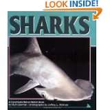 Sharks (Nature Watch) by Ruth Berman and Jeffrey L. Rotman (Jul 1995)