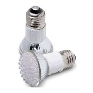 LED Light Bulbs (Set of 2) 